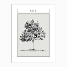 Ash Tree Minimalistic Drawing 1 Poster Art Print