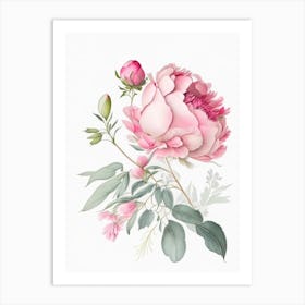 Peony Floral Quentin Blake Inspired Illustration 3 Flower Art Print