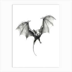 Common Pipistrelle Bat Illustration 1 Art Print