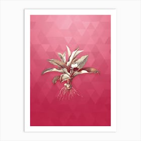 Vintage Kaempferia Angustifolia Botanical in Gold on Viva Magenta n.0911 Art Print