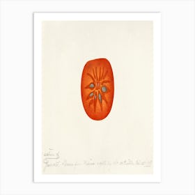 Tomato Art Print