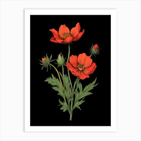 Red Poppies On Black Background Art Print