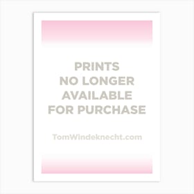 Prints No Longer Available Art Print