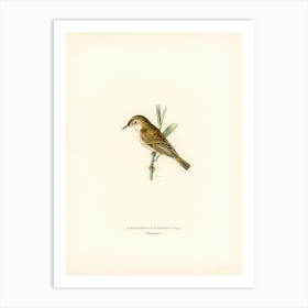Red Warbler, The Von Wright Brothers Art Print