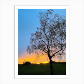 Sunset Over A Tree 1 Art Print