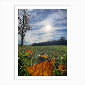 Autumn Leaves On Grass 1 Art Print