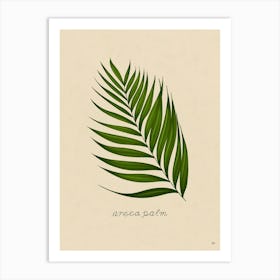 Areca Palm Leaf Art Print