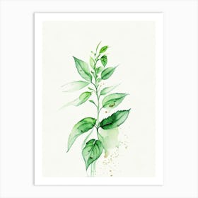 Basil Herb Minimalist Watercolour Art Print