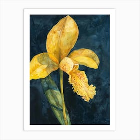 Yellow Orchid 1 Art Print