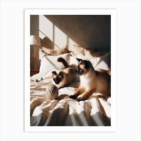 Siamese Cats On Bed Art Print