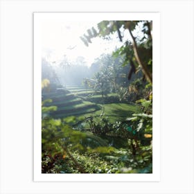 Rice Terraces In Bali Art Print