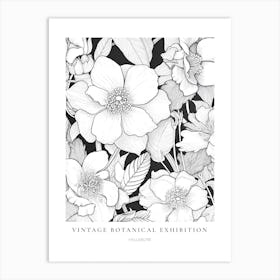 Hellebore B&W Vintage Botanical Poster Art Print