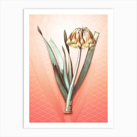 Knysna Lily Vintage Botanical in Peach Fuzz Hishi Diamond Pattern n.0063 Art Print