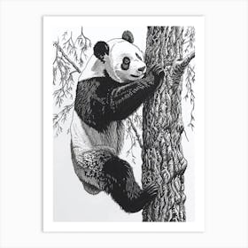 Giant Panda Cub Climbing A Tree Ink Illustration 1 Art Print