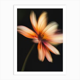 Dahlia Flower 2 Art Print