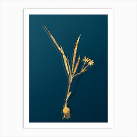 Vintage Gladiolus Inclinatus Botanical in Gold on Teal Blue n.0206 Art Print