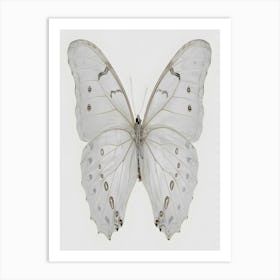 Butterfly 20 Art Print