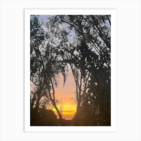 Sunset Through Trees Art Print