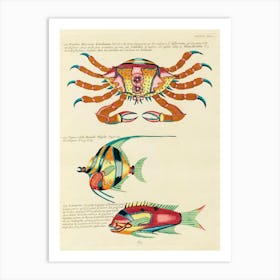 Colourful And Surreal Illustrations Of Fishes And Crab Found In The Indian And Pacific Oceans, Louis Renard (69) Art Print