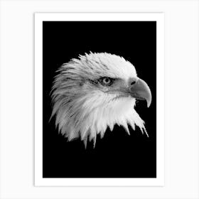 BW Bald Eagle in my Line Illustration Art Print