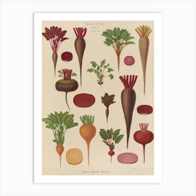 Beets 5 Art Print