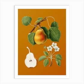 Vintage Pear Botanical on Sunset Orange n.0421 Art Print