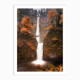 Fall In Oregon Art Print