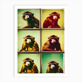 Monkey Collage Art Print