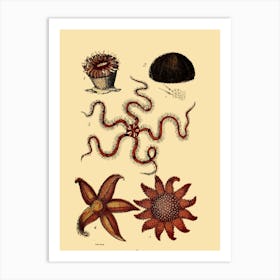 Octopus 2 Art Print