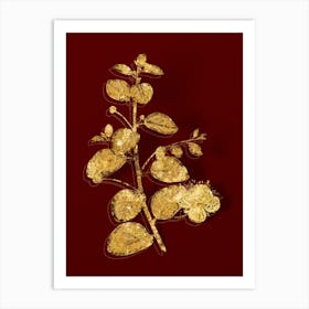 Vintage Caper Plant Botanical in Gold on Red n.0465 Art Print