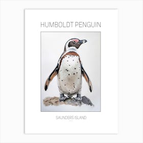 Humboldt Penguin Saunders Island Watercolour Painting 2 Poster Art Print