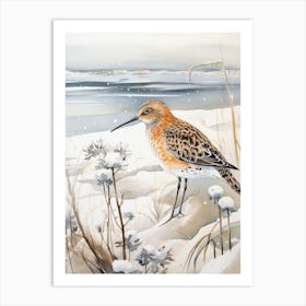 Winter Bird Painting Dunlin 1 Art Print