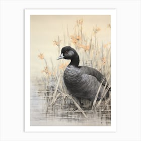 Vintage Bird Drawing Coot 2 Art Print