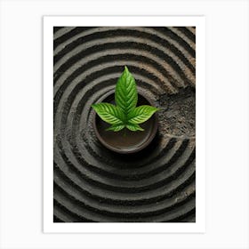 Cannabis Leaf In A Circular Bowl Art Print