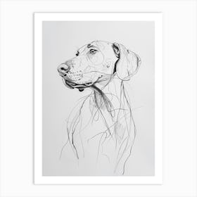 Weimaraner Dog Charcoal Line 2 Art Print