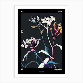 No Rain No Flowers Poster Babys Breath 2 Art Print