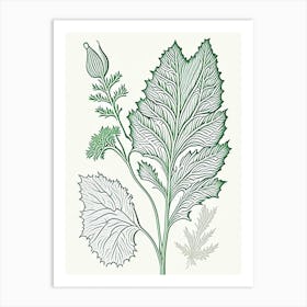 Horseradish Herb William Morris Inspired Line Drawing 2 Art Print
