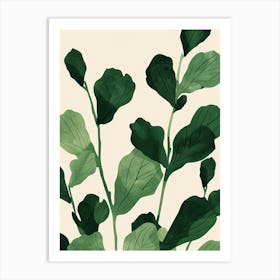 Chinese Evergreen Plant Minimalist Illustration 8 Art Print