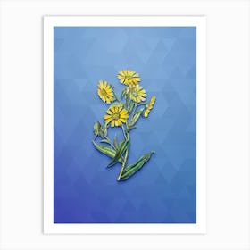 Vintage Madia Flower Botanical Art on Blue Perennial n.0041 Art Print