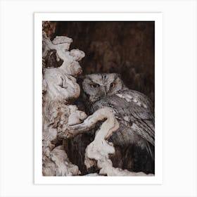 Owl Hiding In Tree Art Print