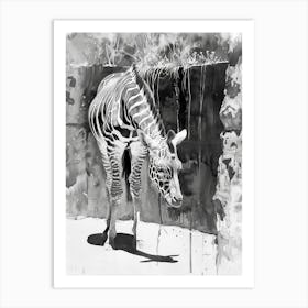 Zoo Austin Texas Black And White Watercolour 1 Art Print