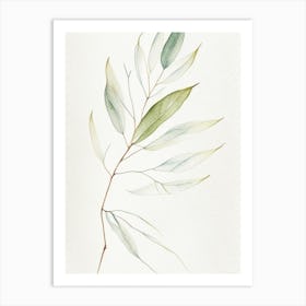 White Willow Leaf Minimalist Watercolour 6 Art Print