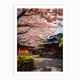 Cherry Blossoms In Kyoto Art Print