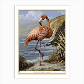 Greater Flamingo Southern Europe Spain Tropical Illustration 2 Poster Art Print