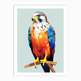 Colourful Geometric Bird Falcon 5 Art Print