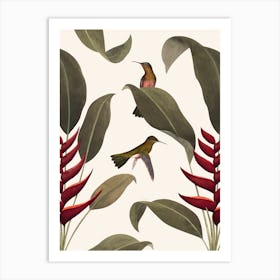 Heliconia Old White   Art Print