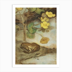 Frog With Marsh Marigold (1880 1937) Art Print