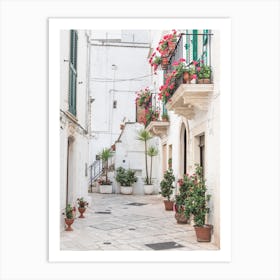 Street With Flowers Art Print