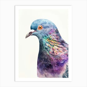 Pigeon 3 Art Print