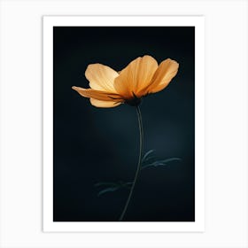 Cosmos 2 Art Print